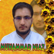 Muhammad Niaz