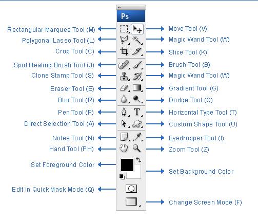 Working with Tools Box in Photoshop