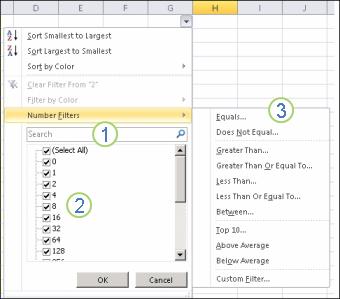 AutoFilter in Microsoft Excel 2013