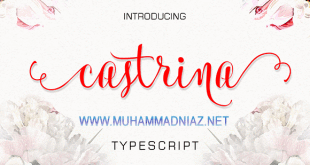 Castrina Typescript Font Cover