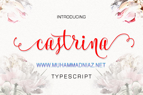 Castrina Typescript Font Cover