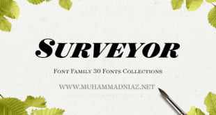 Surveyor Font Preview Cover