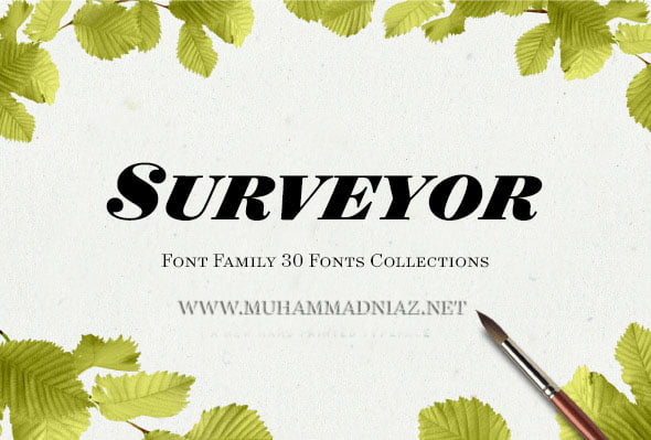 Surveyor Font Preview Cover