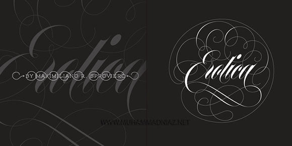 Erotica Font Cover