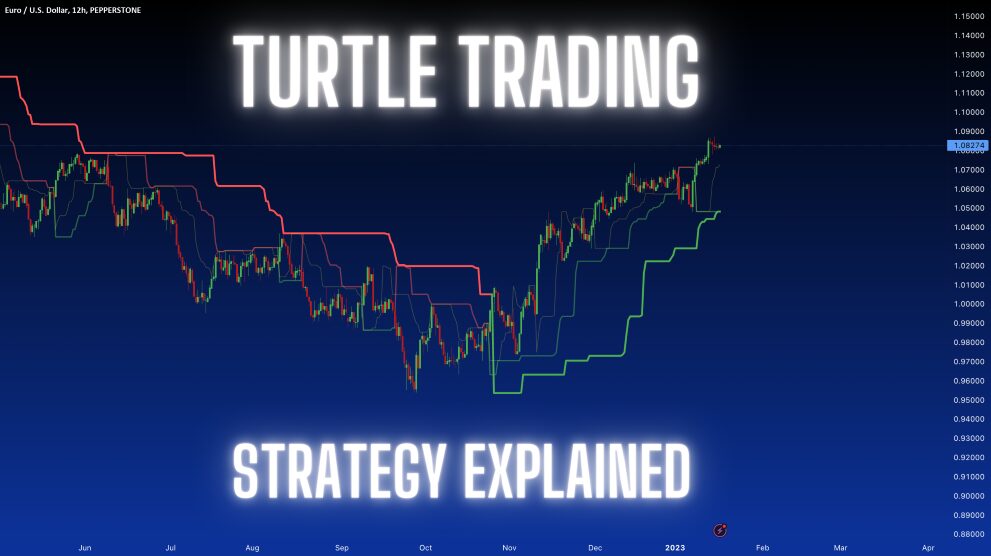 Turtle Trading Experiment | Muhammad Niaz Turtle Trading Experiment